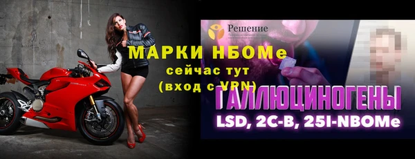 амф Верея
