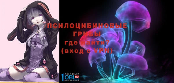 индика Верхнеуральск