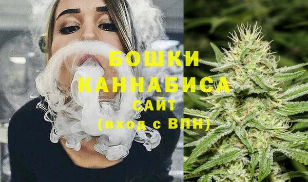 амф Верея