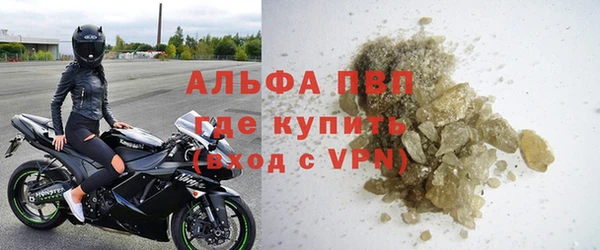 амф Верея
