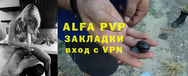 амф Верея