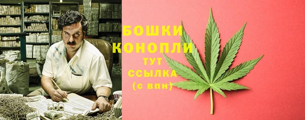 амф Верея